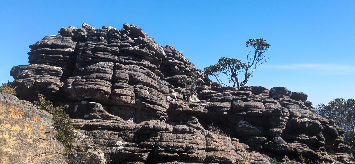 Featured image of post Thoughts on Attention – How to improve your attention