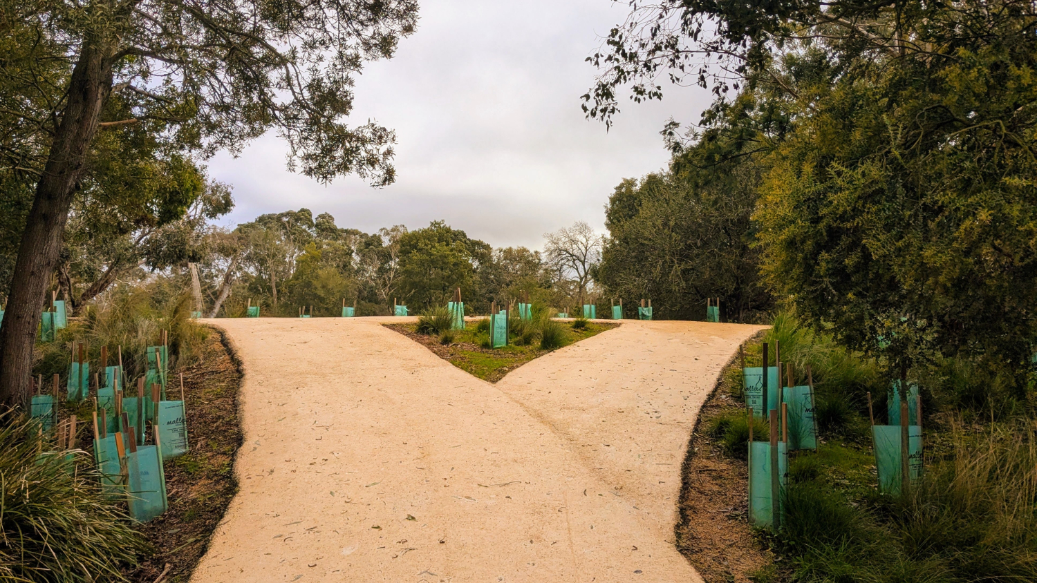 Featured image of post 18 Months of Lessons From Life